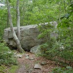 A large boulder blocking the path ahead