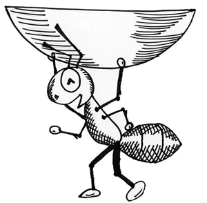 An Ant carrying a contact lens.
