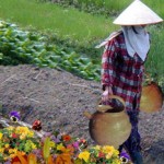 A Chinese lady carrying two water pots, one is cracked and dripping water.
