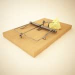 A wooden mouse trap baited with cheese