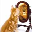 Choosing the right counsellor helps us manage how we think, which in turn helps us manage how we feel and behave. Choosing the right counsellor helps us manage how we think, which in turn helps us manage how we feel and behave.