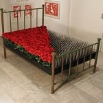 A bed of roses and nails