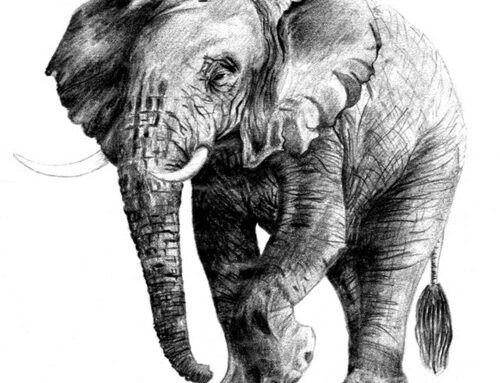 The Parable of the Blind Men and the Elephant