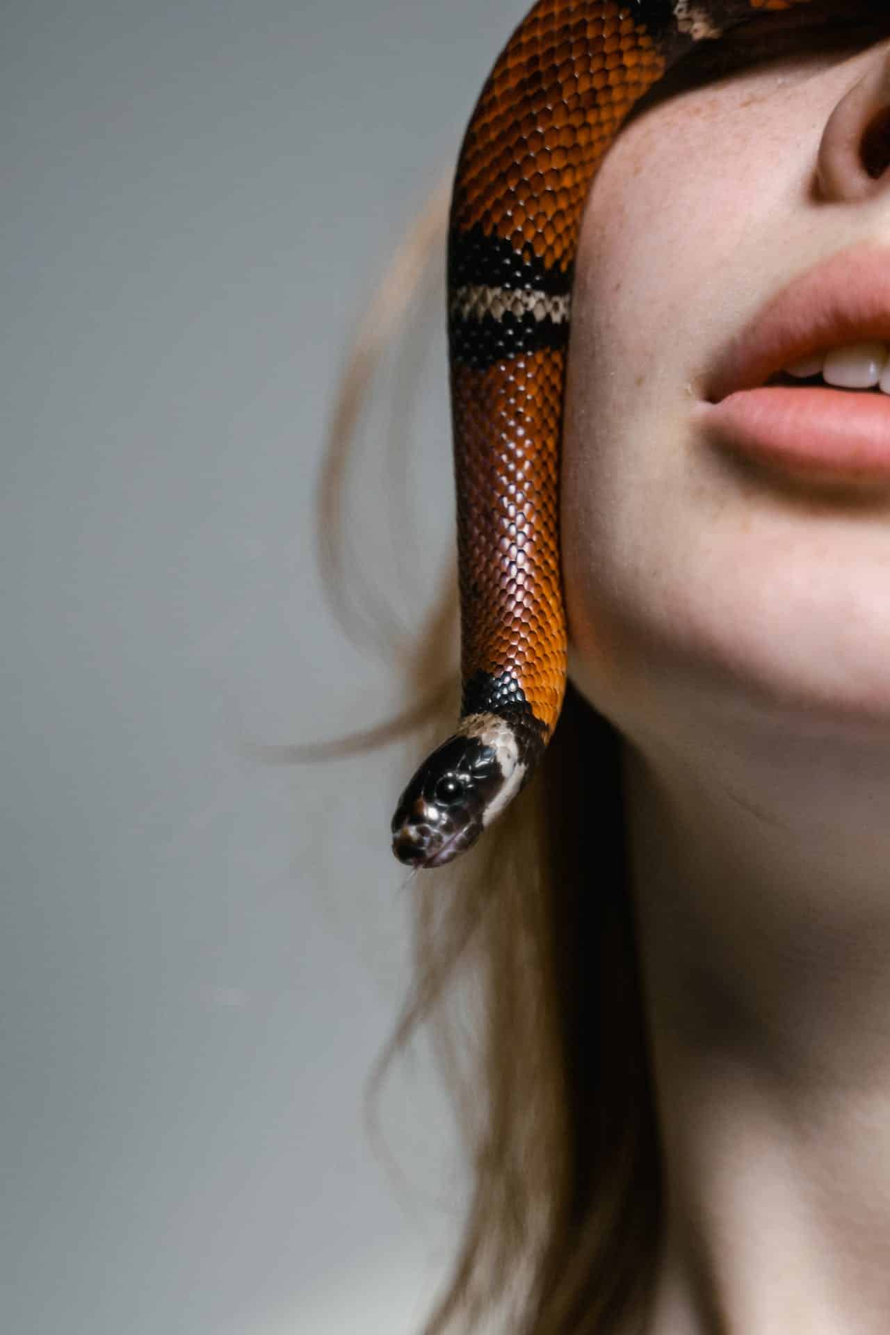 A snake is crawling on a woman face.
